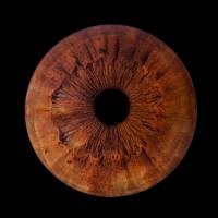 Delphine BURTON - Delphine Burton photographe