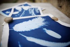 Anne JOLIVET - LES SENTIERS CREATIFS (PHOTOS EQUIVOX)