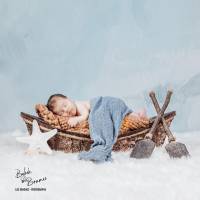 Luc SANCHEZ - BOKEH DES BRUMES